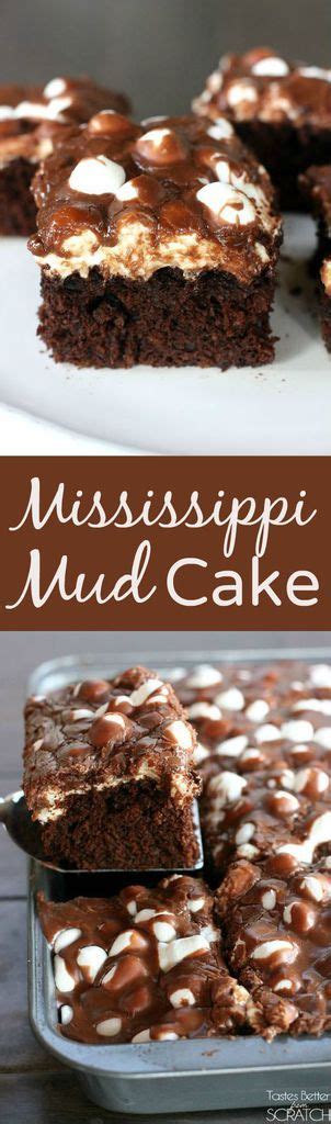 I like to let my coconut filling and frosting sit over night, but you can just. Mississippi Mud Cake | Recipe | Tasty chocolate cake ...