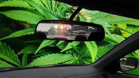 5 Places On Your Body To Hide Weed If Youre Pulled Over By The Cops