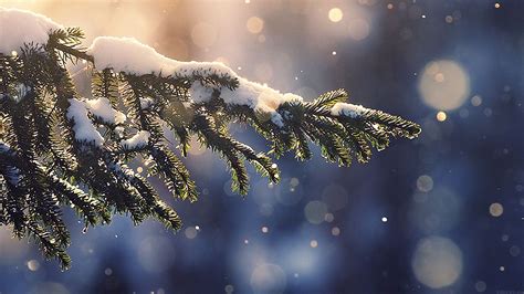 Christmas Aesthetic Wallpapers - Top Free Christmas Aesthetic
