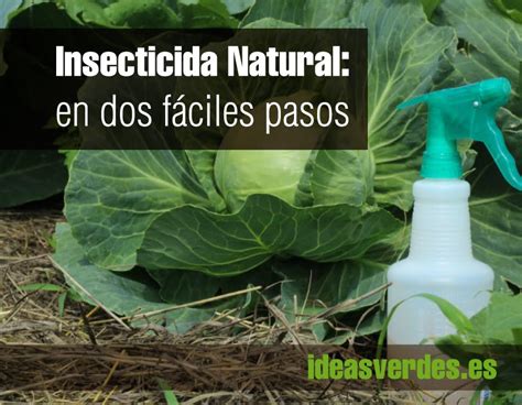 Diy C Mo Hacer Un Insecticida Natural Ideas Verdes