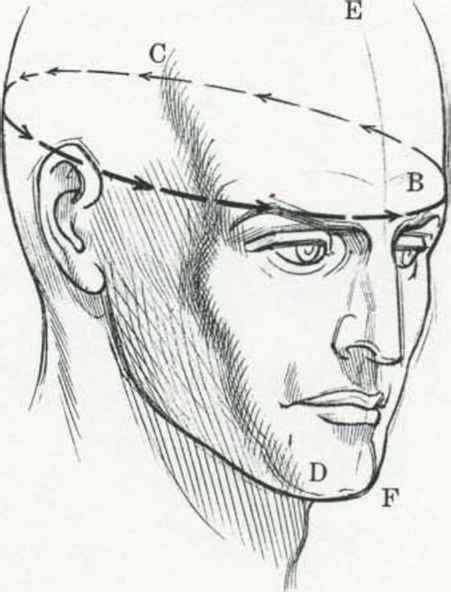 Drawing The Human Head Drawing The Human Head Joshua