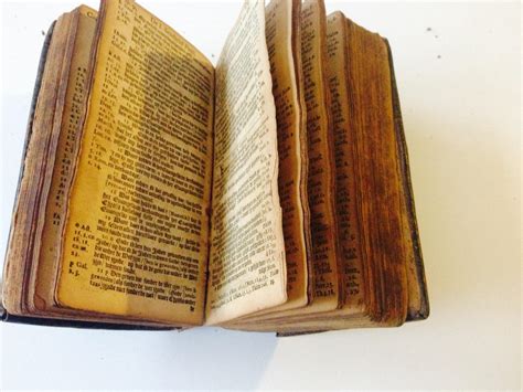 1728 Latin Bible Instappraisal