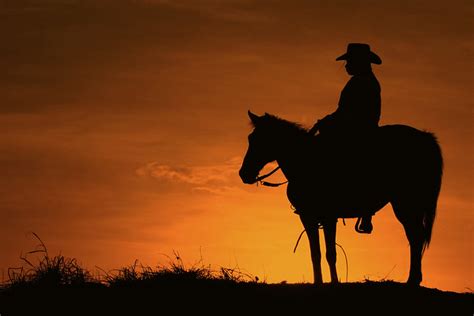 Sunset Cowboy Flickr Photo Sharing