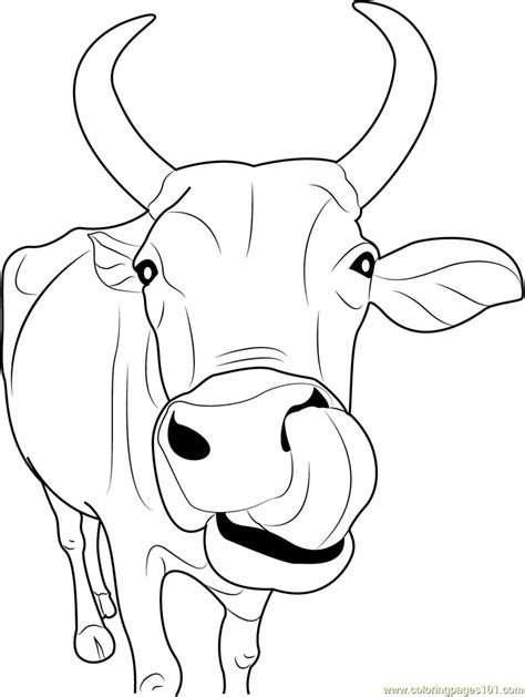 Indian Cow Face Printable Coloring Page For Kids And Adults Cow