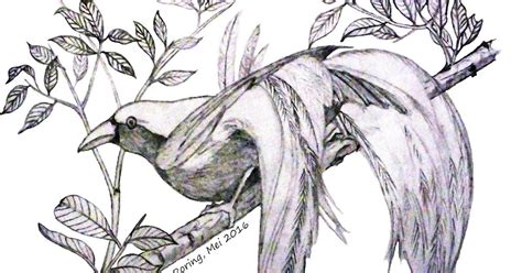 Pngtree menawarkan burung cendrawasih gambar png dan vektor, serta gambar clipart burung cendrawasih latar belakang transparan dan file psd. Sketsa Gambar Burung Cendrawasih - gambar sketsa dan unuk ...
