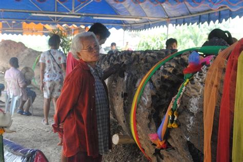 112, 257 , 342, 790. บ้านเมือง - คอหวยสุโขทัยเฮลั่น ! ตะเคียนยักษ์แจกโชค 2 ตัว ...