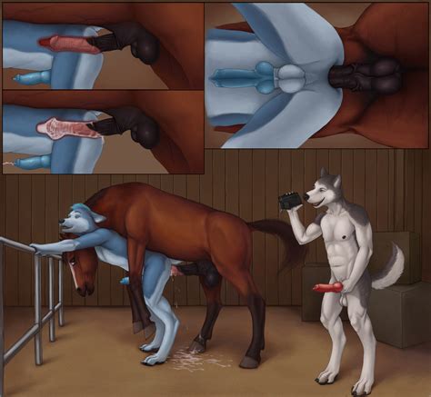 Rule 34 Anal Anal Sex Animal Anthro Bestiality Ass Camera Canine Cum