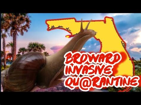 Broward County Florida Under Quarantine After Invasion Youtube