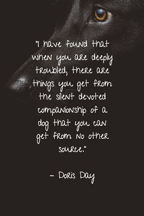 25 Dog Quotes About Love And Loyalty Dog Quotes Love Dog Poems Dog