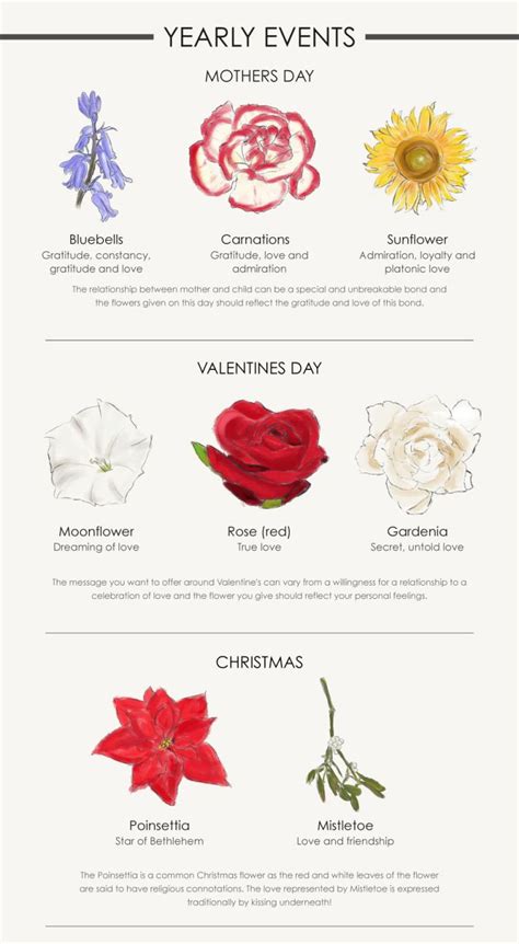 a flower for every occassion flower guide flower meanings flower names language of flowers