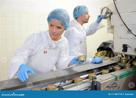 Workers On Food Production Line Stock Photo Image Of Control Power