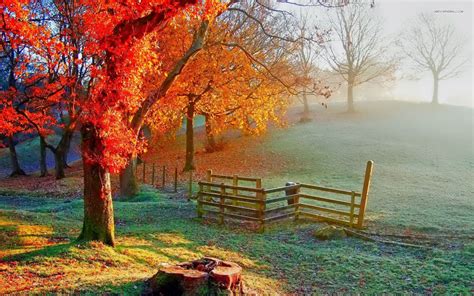 Beautiful Autumn Painting Sunlight On The Field