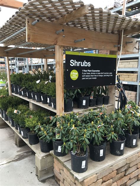 Don't forget to bookmark home depot garden center victoria day using ctrl + d (pc) or command + d (macos). Over 1000 trees and shrubs came in today. Stop by and pick ...