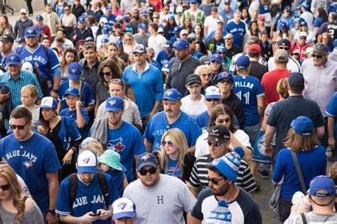 Blue Jays Fans After Toronto Win Editorial Stock Image Image Of White