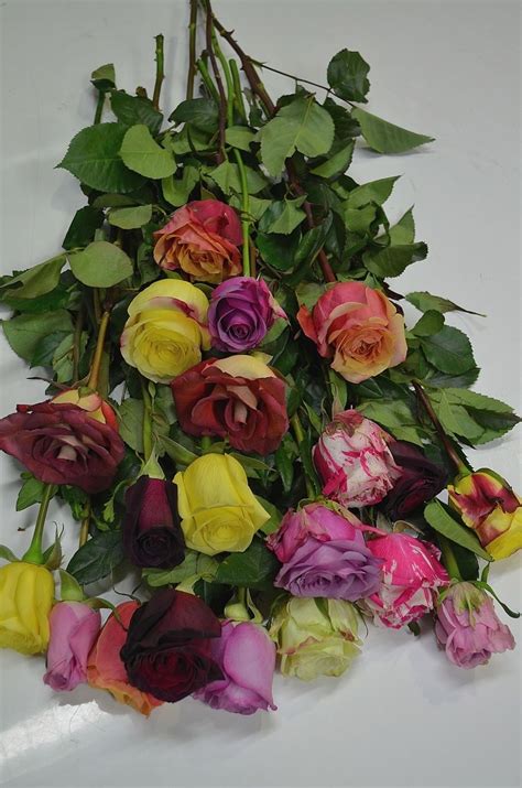 Maybe you would like to learn more about one of these? A rose for every mood... | Fresh flowers online, Buy ...