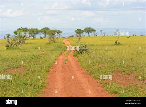 African Veldt Hi Res Stock Photography And Images Alamy