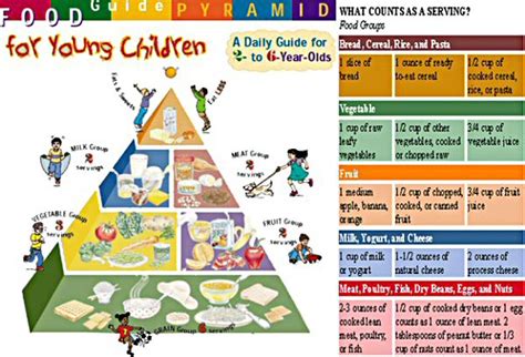Guideline development is a detailed and comprehensive exclusion young adults ≤18 years of age, infants, children and adolescents. Food Pyramid - The Noakes Foundation