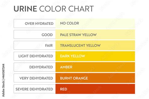 Vecteur Stock Urine Color Chart Pee Hydration And Dehydration Test