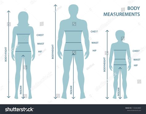 Silhouttes Of Man Women And Boy In Full Length With Measurement Lines