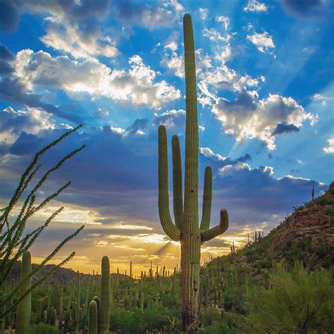 I won a bet and a six pack of beer with that observation. US Department of the Interior on | National parks, Arizona ...