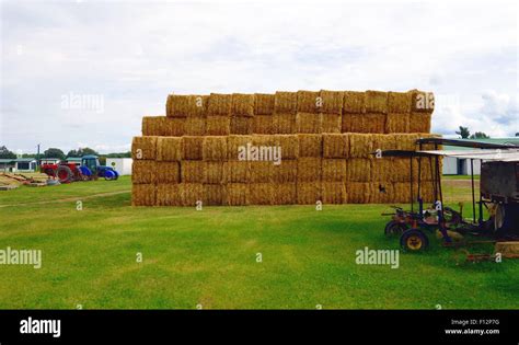 Hay Blocks Stacked At A Farm In Ontario Canada Stock Photo Alamy
