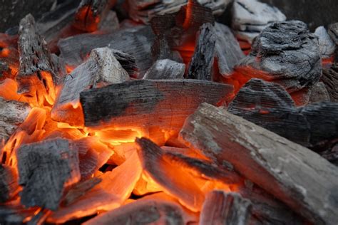 10 Best Uses For Wood Ash 2021 What To Do With Fire Ash
