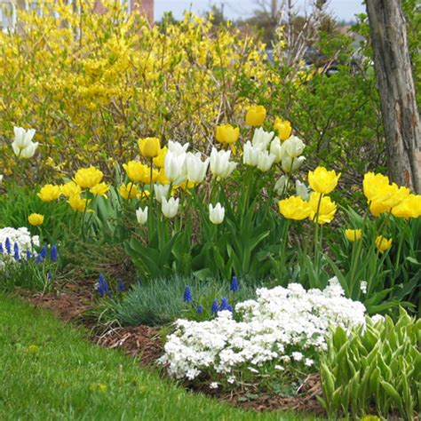 The chill of winter finally begins to subside. How to Create a Bulb Garden | Gardening Tips from mantis.com