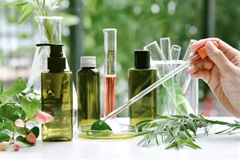 Best Botanical Ingredients For Skin Your Beauty Pantry