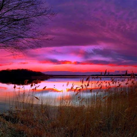 Amazing Purple Sunset 1024 x 1024 iPad Wallpaper