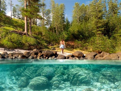 This green island paradise is found in the middle of the south pacific ocean and is just 35 square kilometers in size with 32km of coast line. 10 Reasons why you should book your Norfolk Island Holiday ...