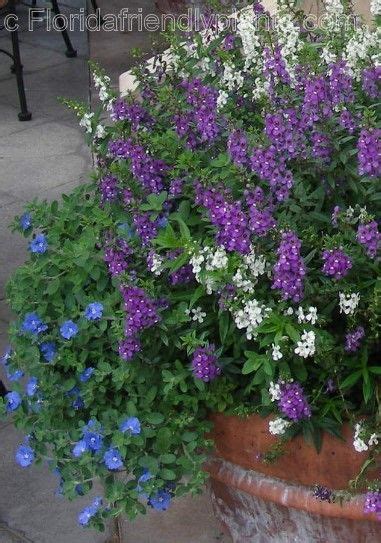 47 best images about Flores - Azulzinha on Pinterest ... Ricky landscaping, unique landscaping solutions, llc, jim's trim and landscaping, inc., abendano landscaping, llc, edlawn services.