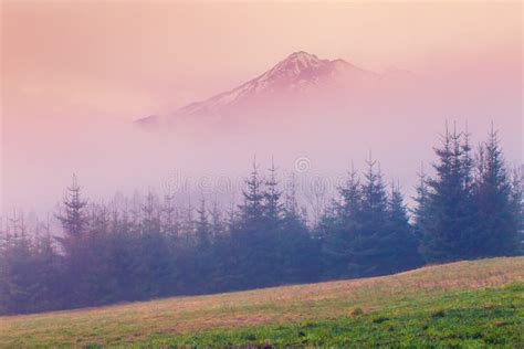 Spring Foggy Morning In Mountains Stock Photo Image Of Background