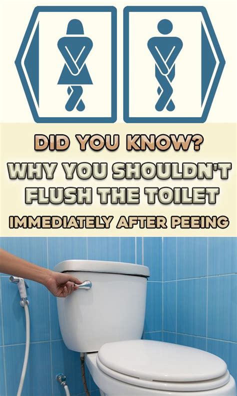 Reasons Why You Should Not Flush Toilet After Peeing Many Do Not Know This Health Toilet