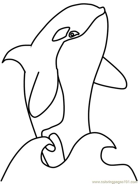 The most common minke whale poster material is paper. Whales printable coloring page for kids and adults
