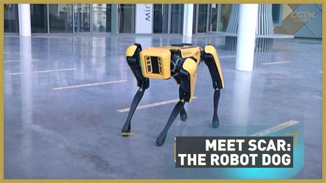 Meet The Robot Dog That Could Replace Humans Cgtn