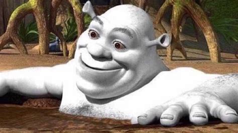 Template 2 Shrek In A Mud Bath Know Your Meme Memes Shrek Shrek