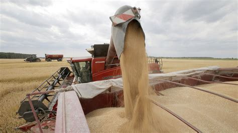 Le Maroc devient le premier importateur de blé de lUnion Européenne AfroActu com