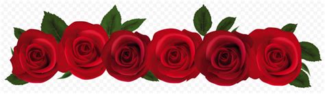 Hd Red Roses Flowers Border Png Citypng
