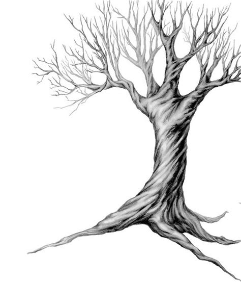 Simple Tree Drawing Free Download On Clipartmag