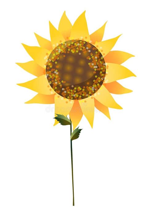 Sunflower Stock Illustration Illustration Of Colors 10092292