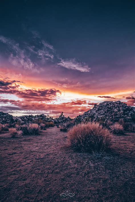 Magical Desert Sunset In Joshua Tree National Park Oc 3961x5941