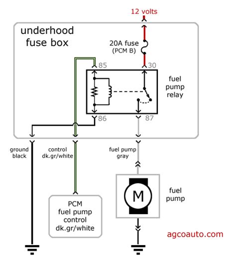 Mockup Case Polos Hd Mockup F Fuel Pump Wiring Diagram