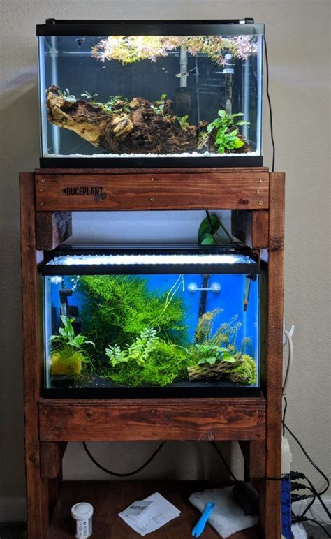 Fish Tank Stand Up Cubluk Aquarium Fish