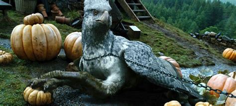 Jk Rowlings ‘fantastic Beasts Starts Filming In 2015 Anglophenia