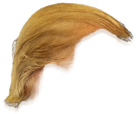 Donald Trump Hair Side View Png Transparent