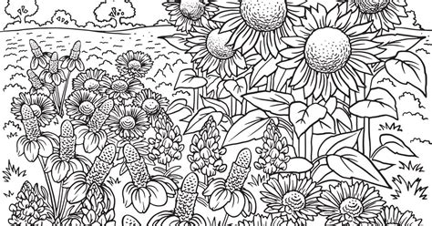Choose your favorite texas wildflowers paintings from millions of available designs. Download Our Printable Wildflower Coloring Pages in 2020 ...