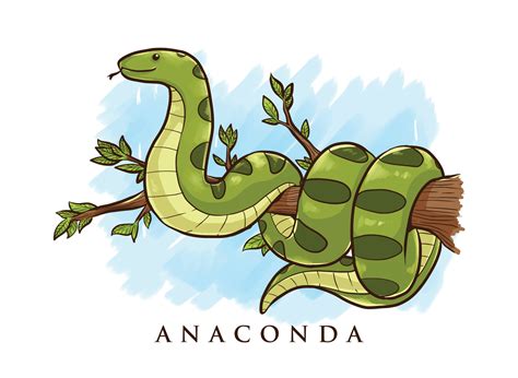 Ilustración De Dibujos Animados Anaconda Descargue Gráficos Y