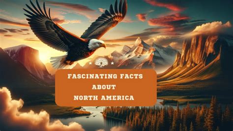 Unearthing North Americas Fascinating Facts ᐈ From Wildlife To Art Schools