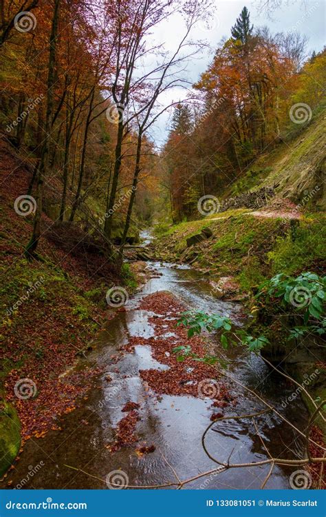 The Calm River Flows In A Beautiful Autumn Forest Stock Image Image
