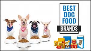 Best Dog Food Brands For Your Pets Needs Petmoo